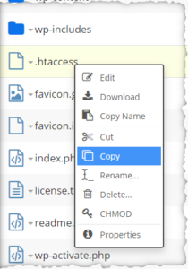 Shows how to use context menu to copy .htaccess in File Manager