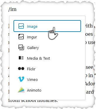 Selecting "image" as the block type