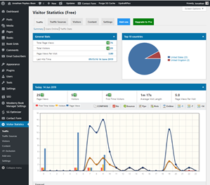 Screenshot of visitor statistics