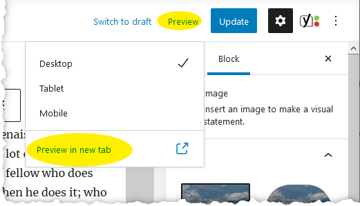 Toolbar preview button and preview in new tab are highlighted